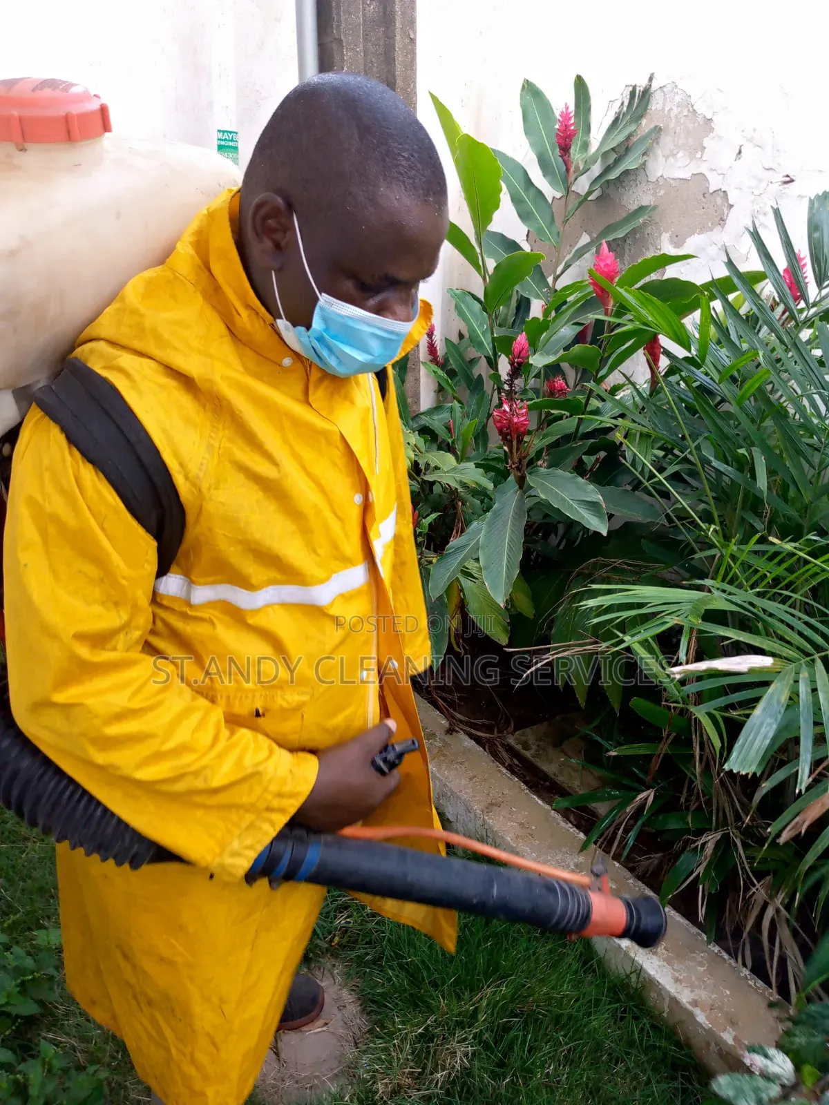 Snake Fumigation Man