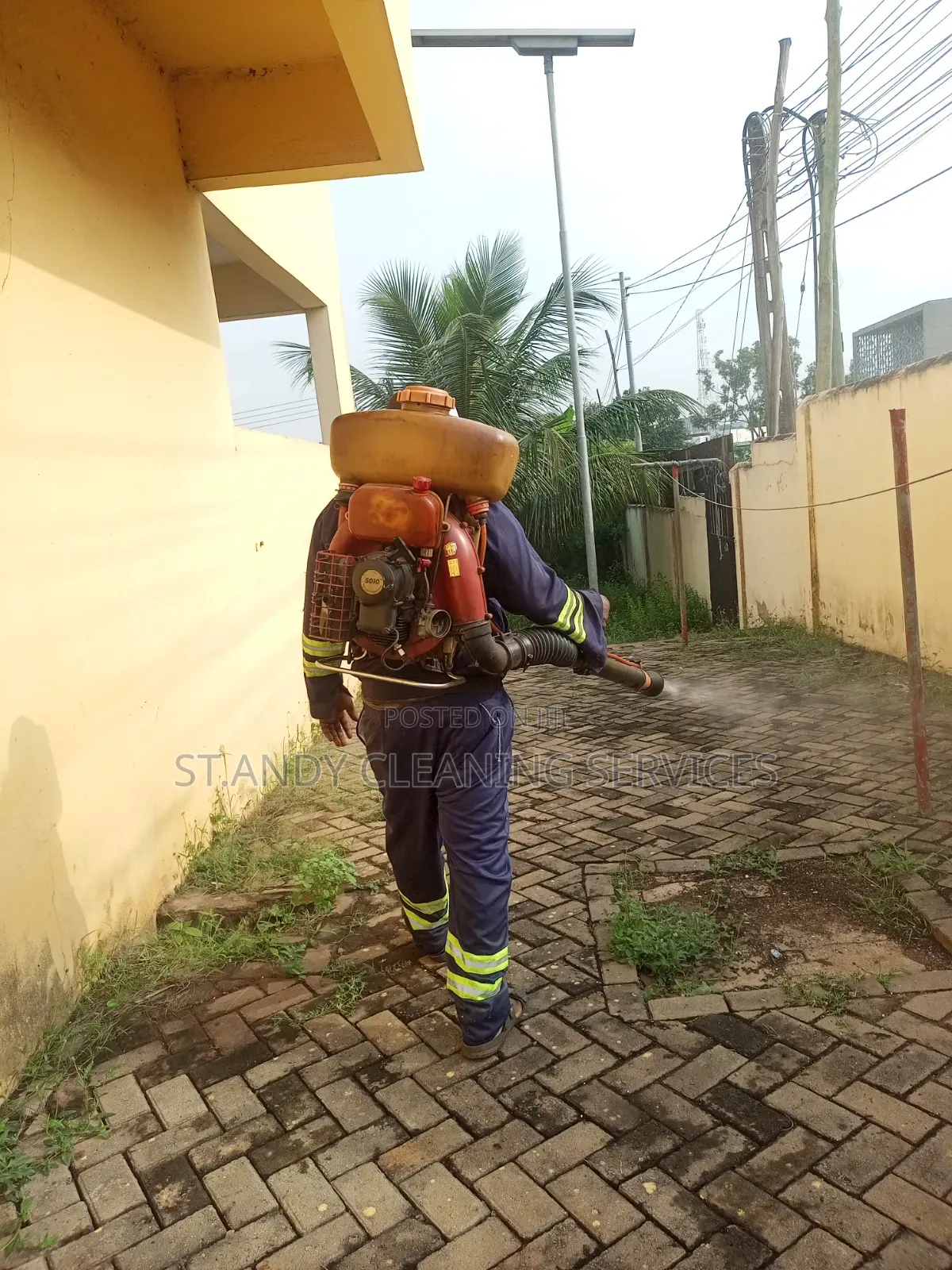 All Fumigation Pest Control Services