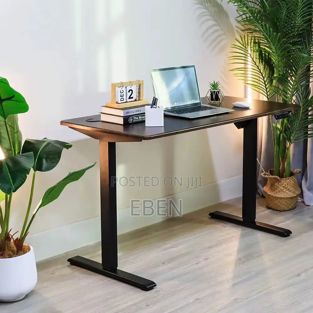 120x60cm Height-adjustable Electric Desk – Sit/Stand Workstation