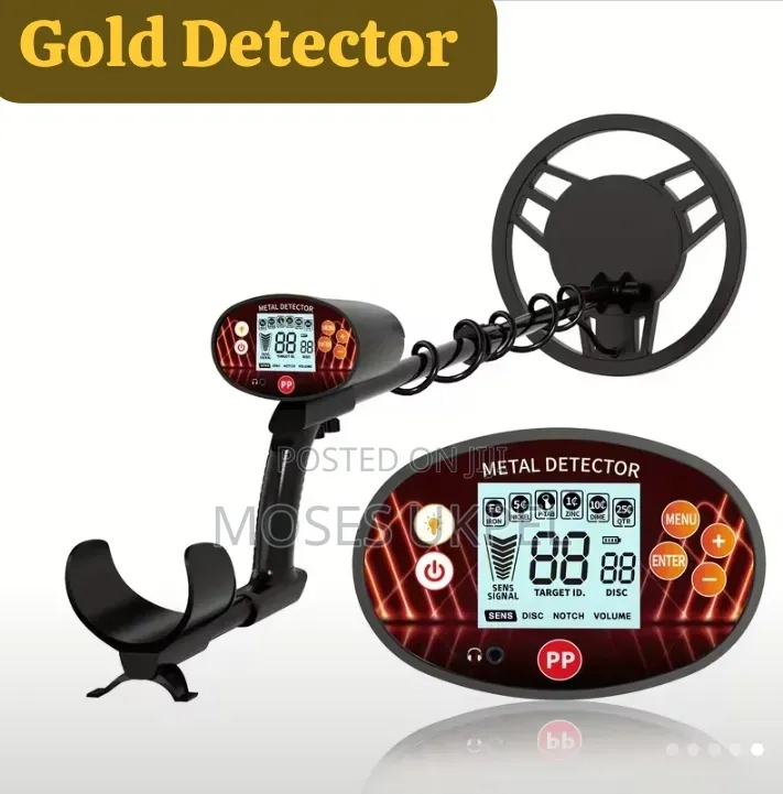 Gold Detector