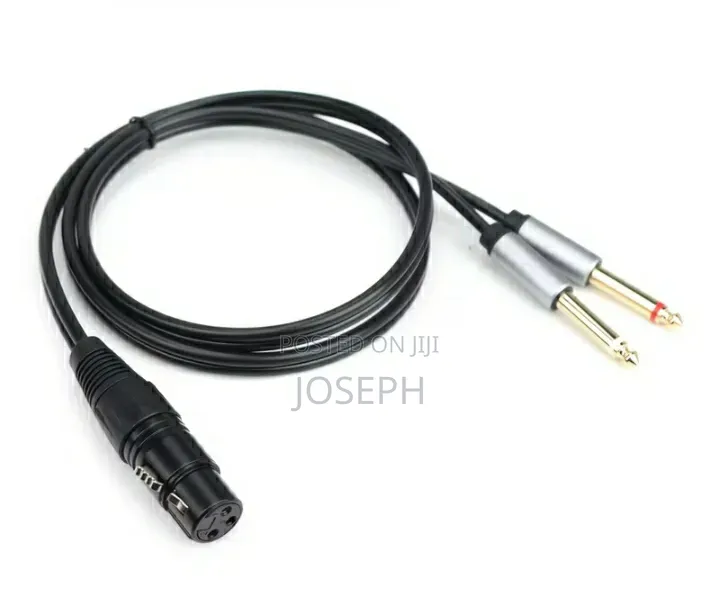 XLR to Double Jack Cable