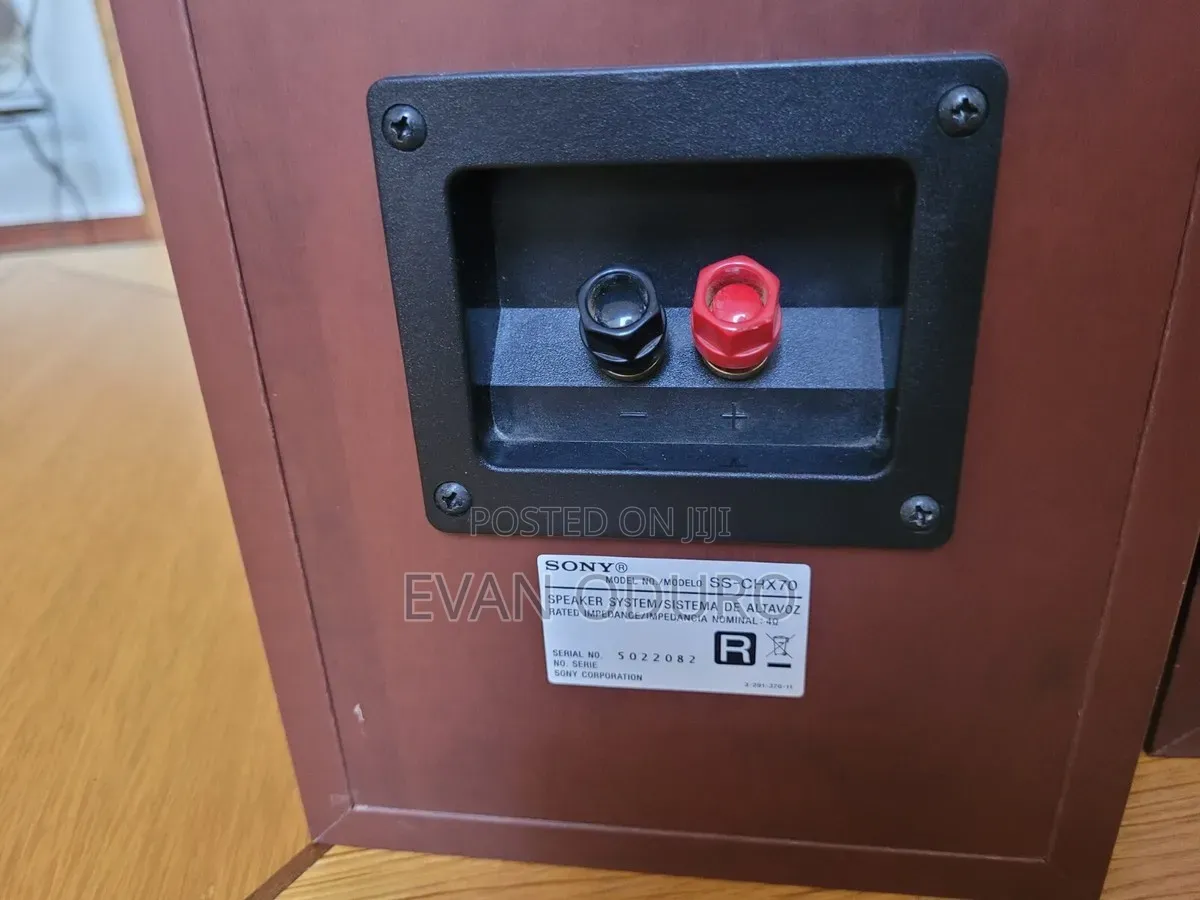 Powerful Sony Studio Passive Bookshelf Speakers Good Sound Quality