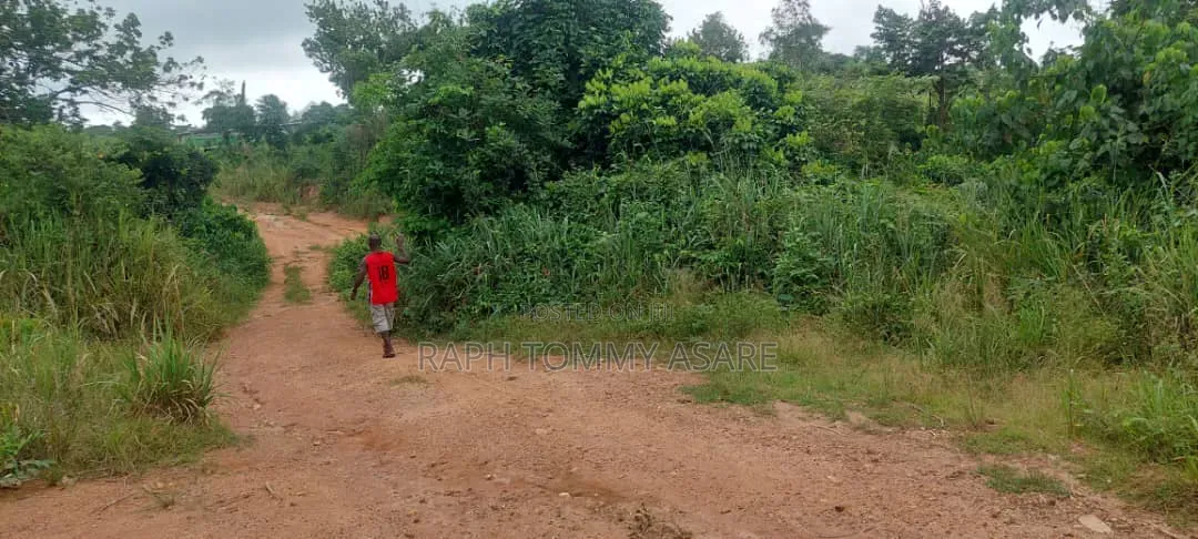 Well Located 4plots of Land at Kwabere Kasaam for Sale