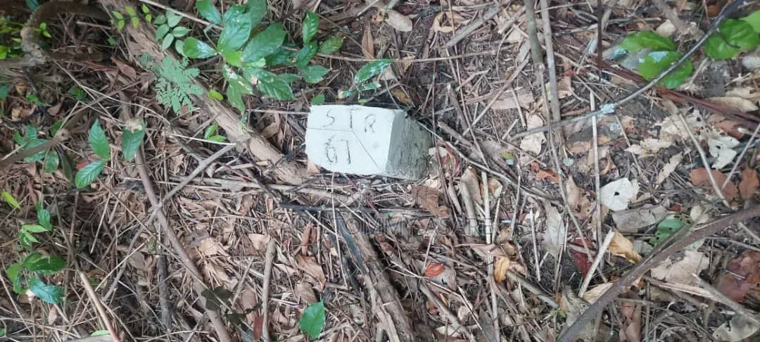 Well Located 4plots of Land at Kwabere Kasaam for Sale