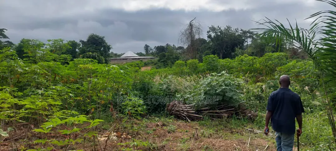 Litigation Free Land for Sale at Kwabere Kasaam