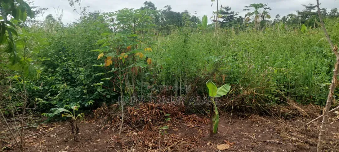 Litigation Free Land for Sale at Kwabere Kasaam