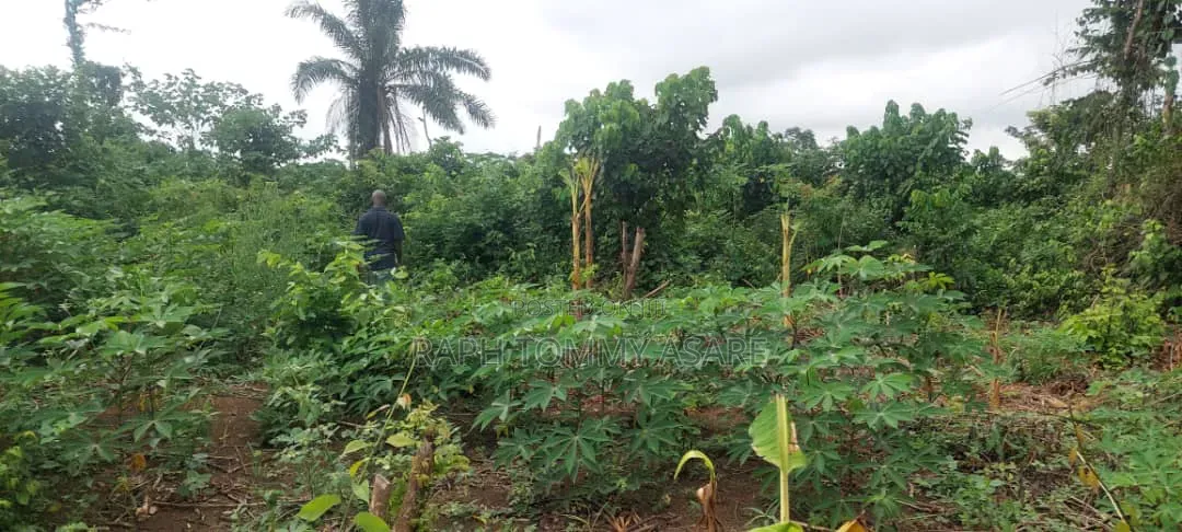Litigation Free Land for Sale at Kwabere Kasaam