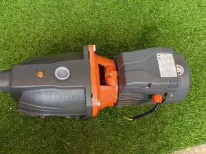 Leo Surface Water Pump