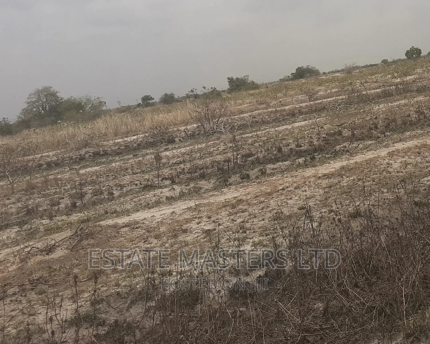 Exclusive Registered Plots