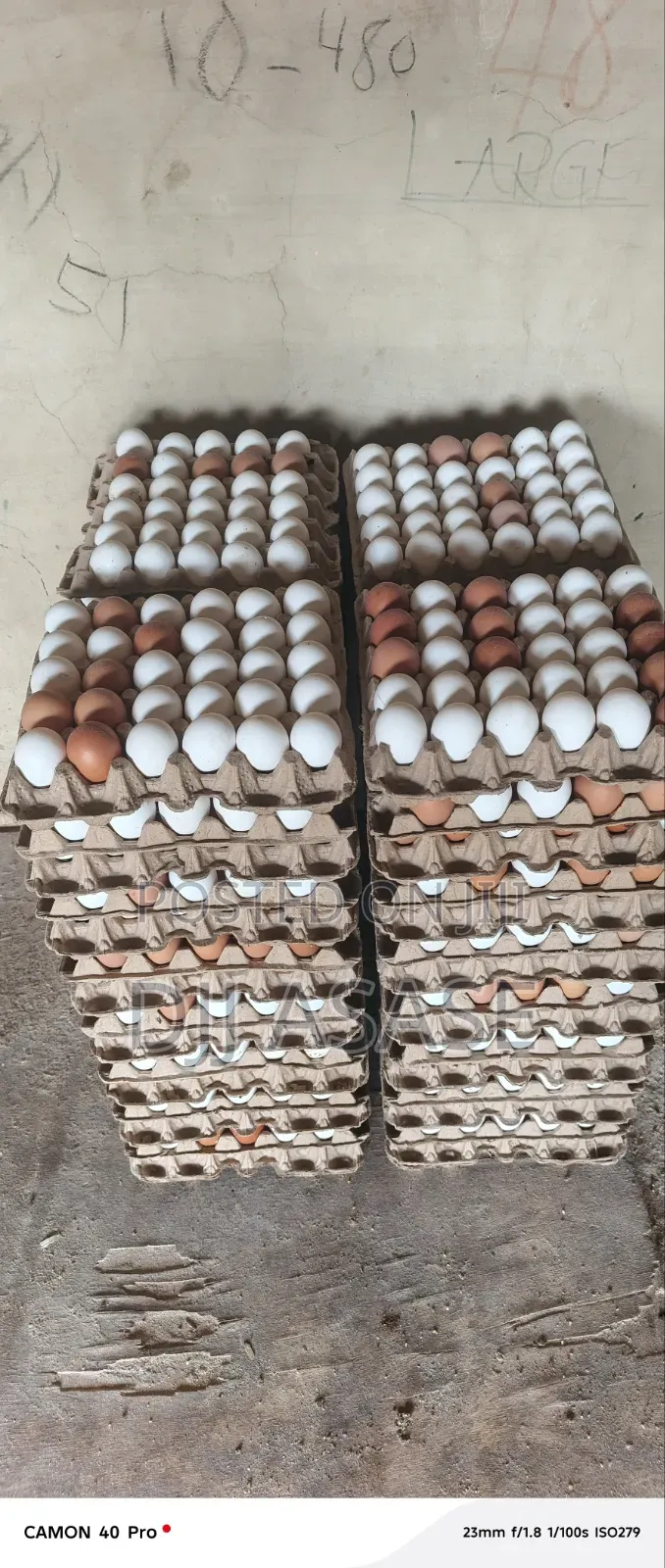 Fresh Eggs Available