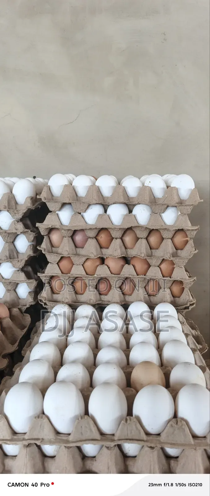 Fresh Eggs Available
