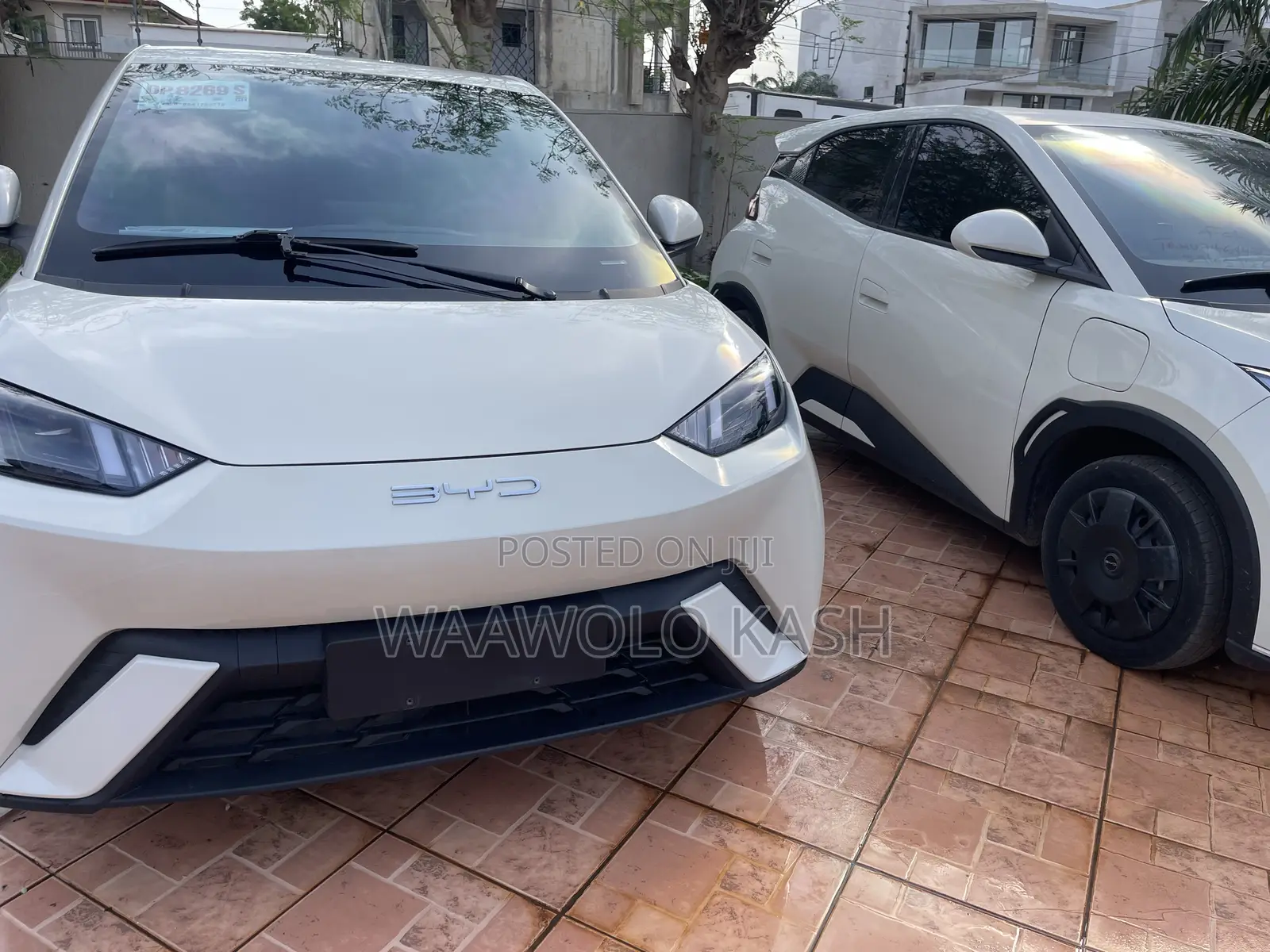 BYD Seagull 2023 White
