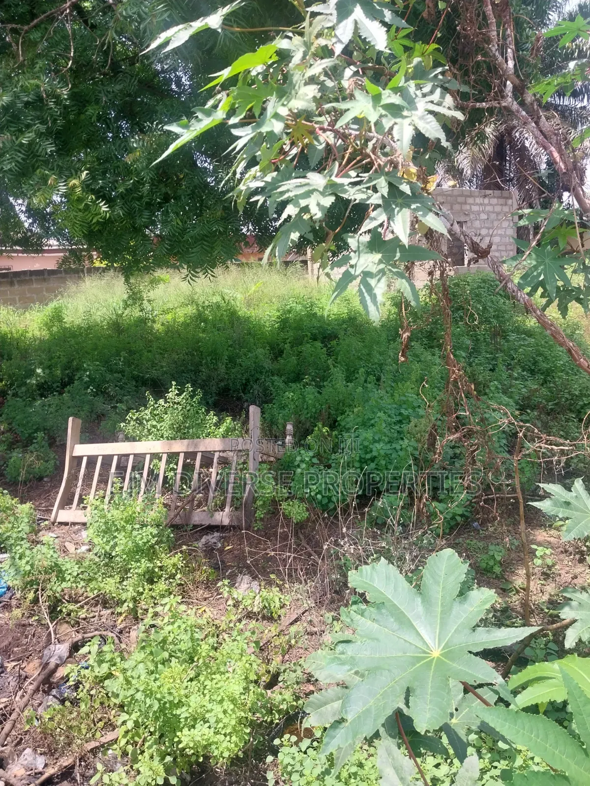 Title Full Plot of Land for Sale at Teshie Tsuibleoo