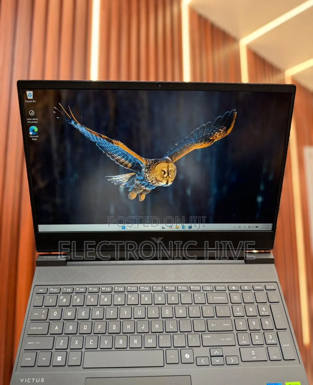 Laptop HP Victus 15 8GB AMD Ryzen 5 SSD 512GB