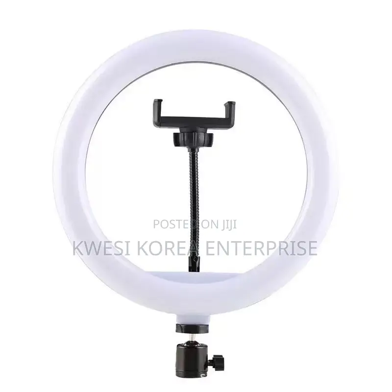 10 Inches Ring Light RGB