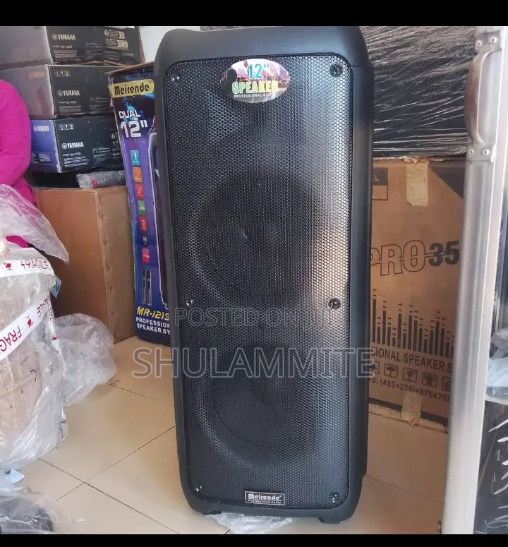 Meirende Speaker