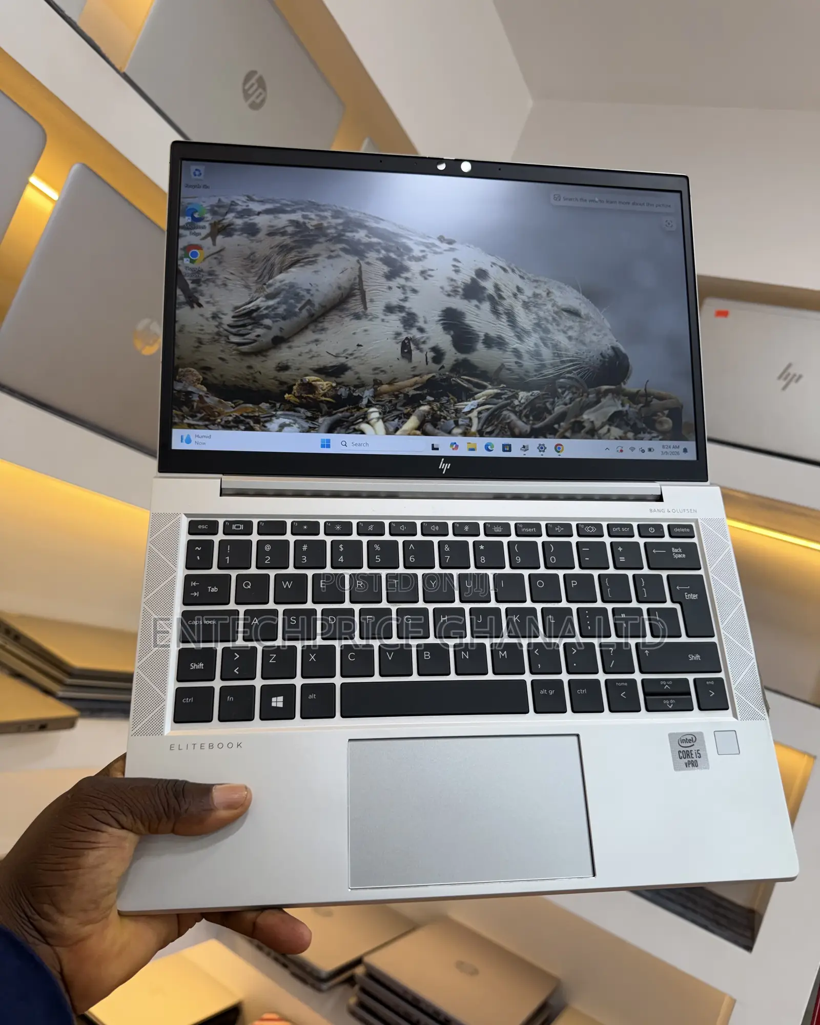 Laptop HP EliteBook 830 G7 8GB Intel Core i5 SSD 256GB