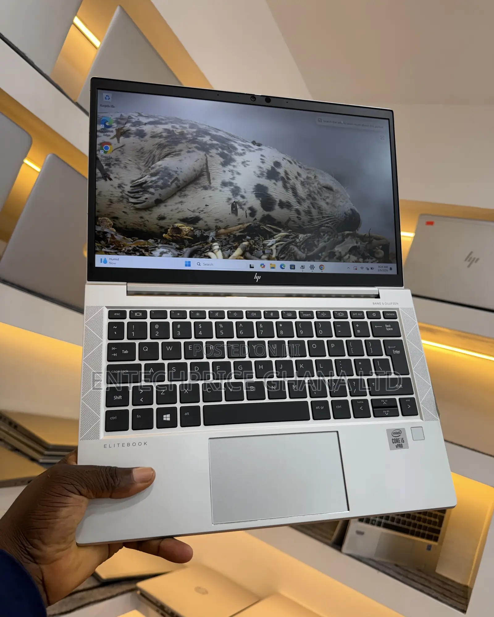 Laptop HP EliteBook 830 G7 8GB Intel Core i5 SSD 256GB
