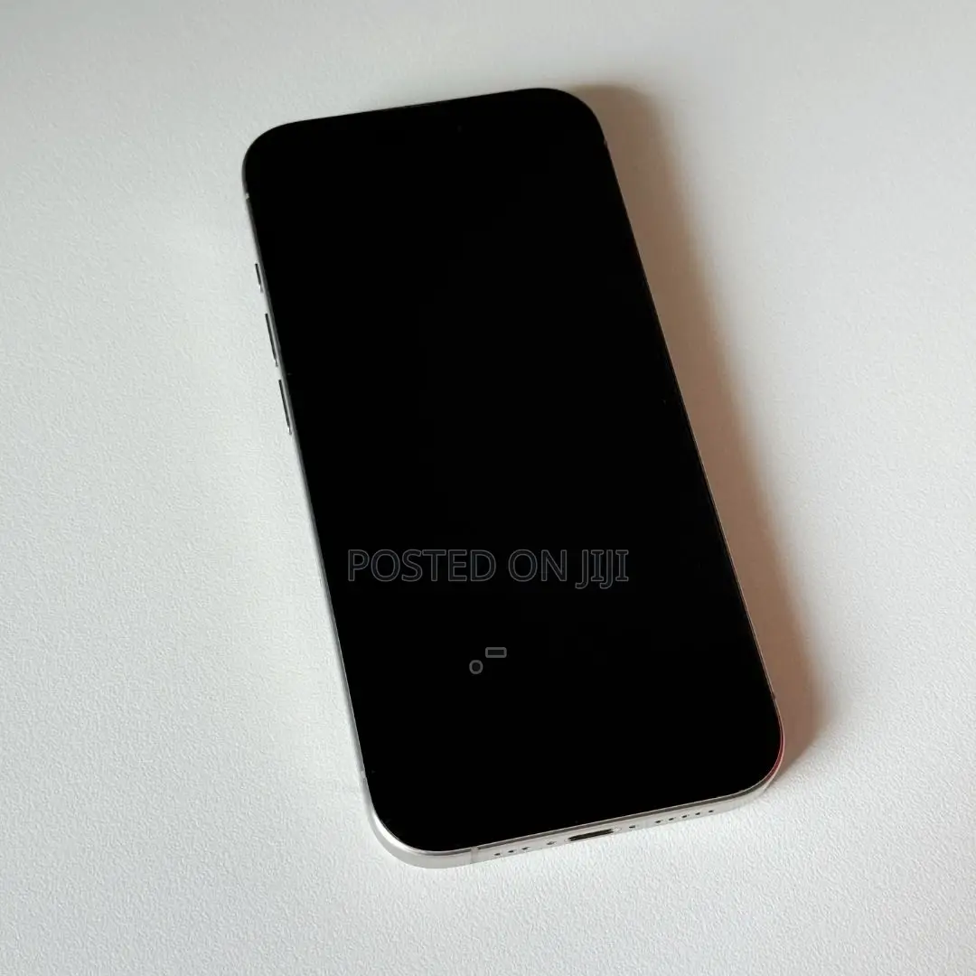 Apple iPhone 15 Pro Max 256 GB Silver