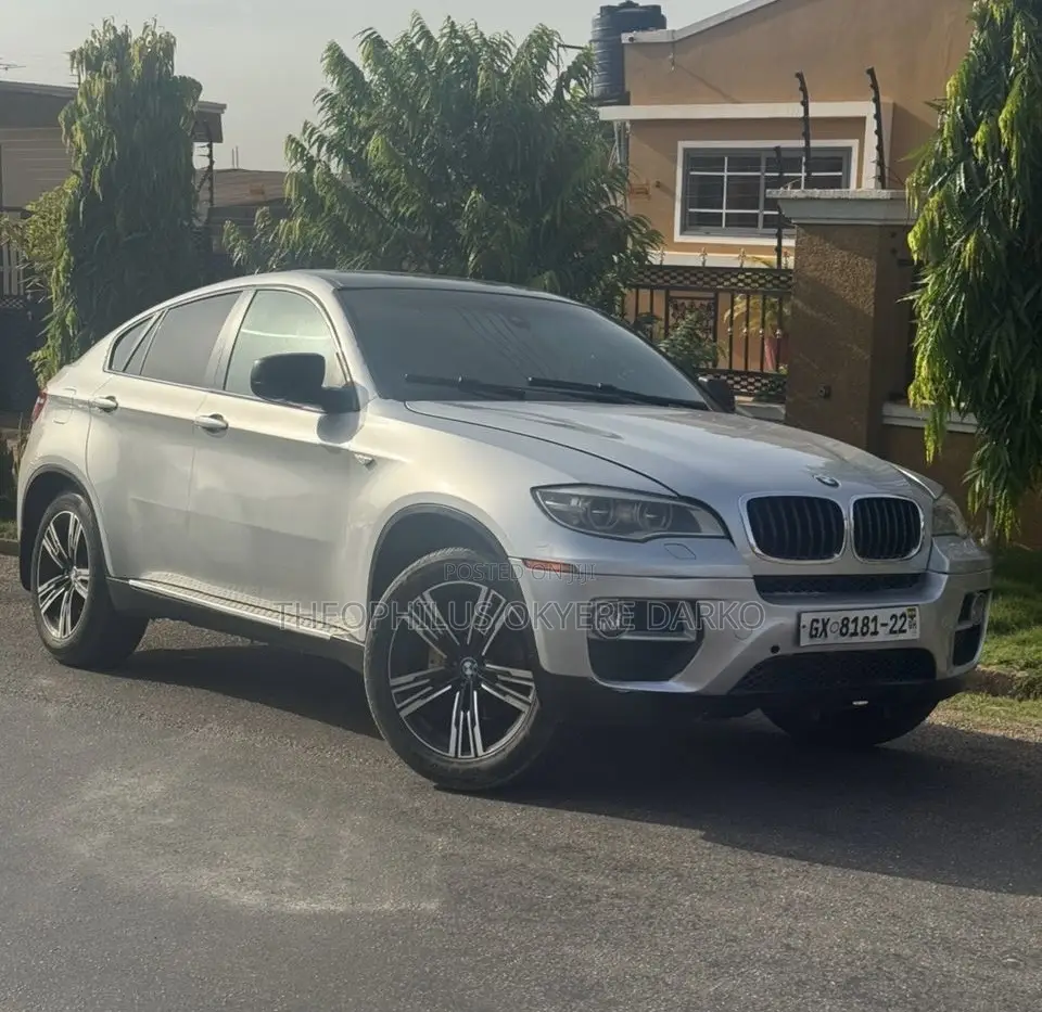 BMW X6 xDrive50i 4x4 Coupe (4.4L 8cyl 8A) 2013 Silver