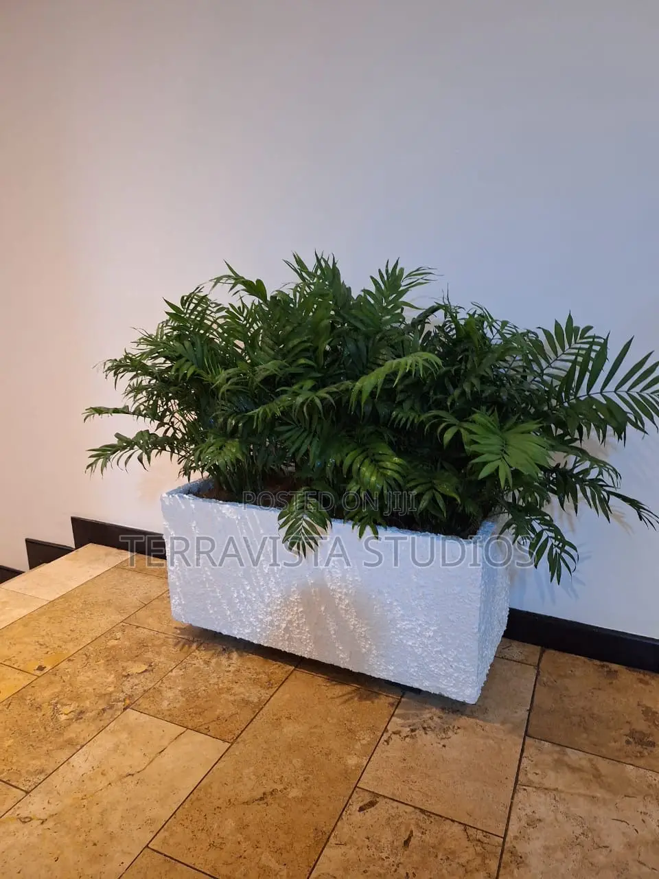 Flower Pots, Plants and Stand for Sale