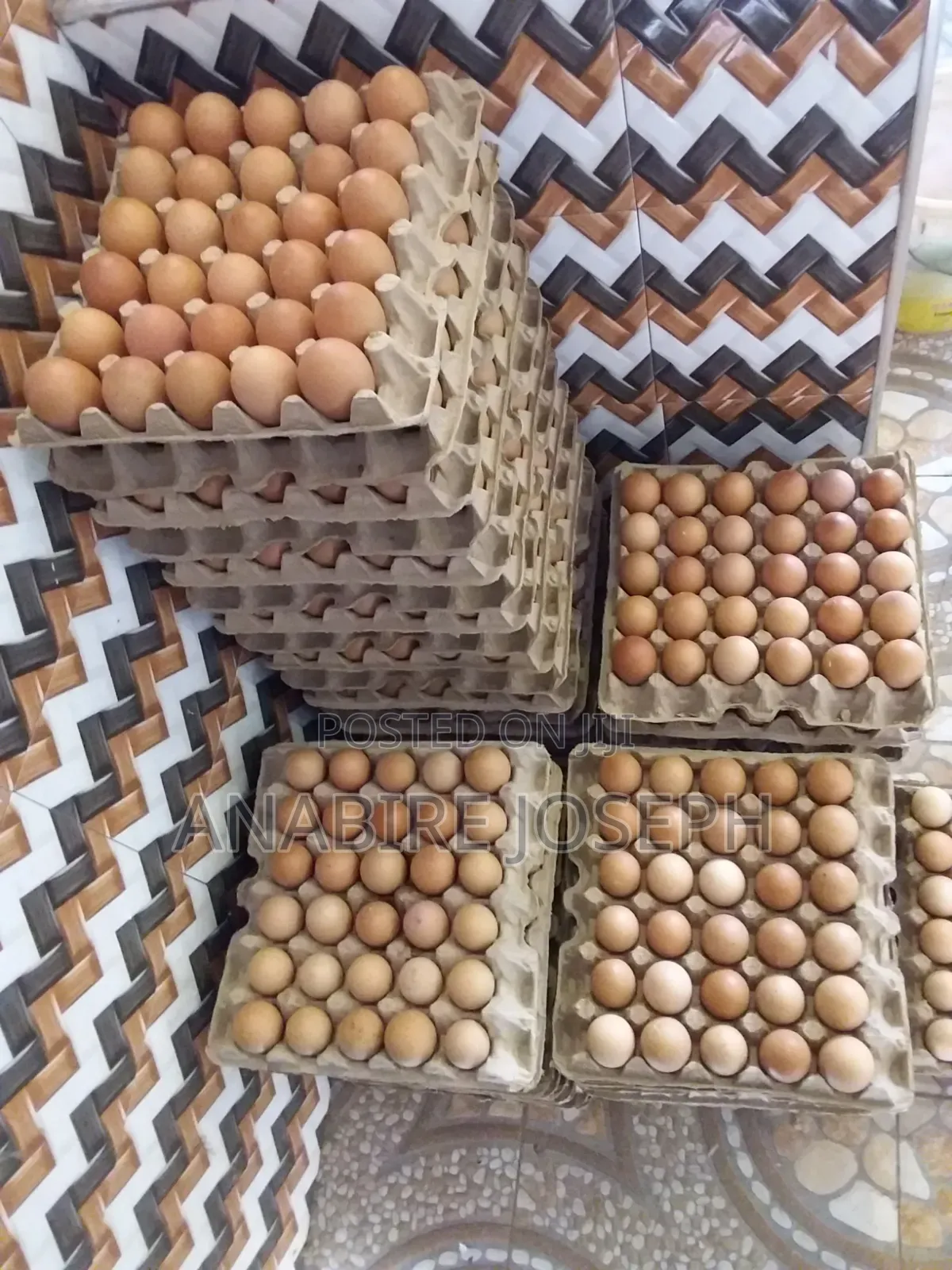 Poultry Eggs