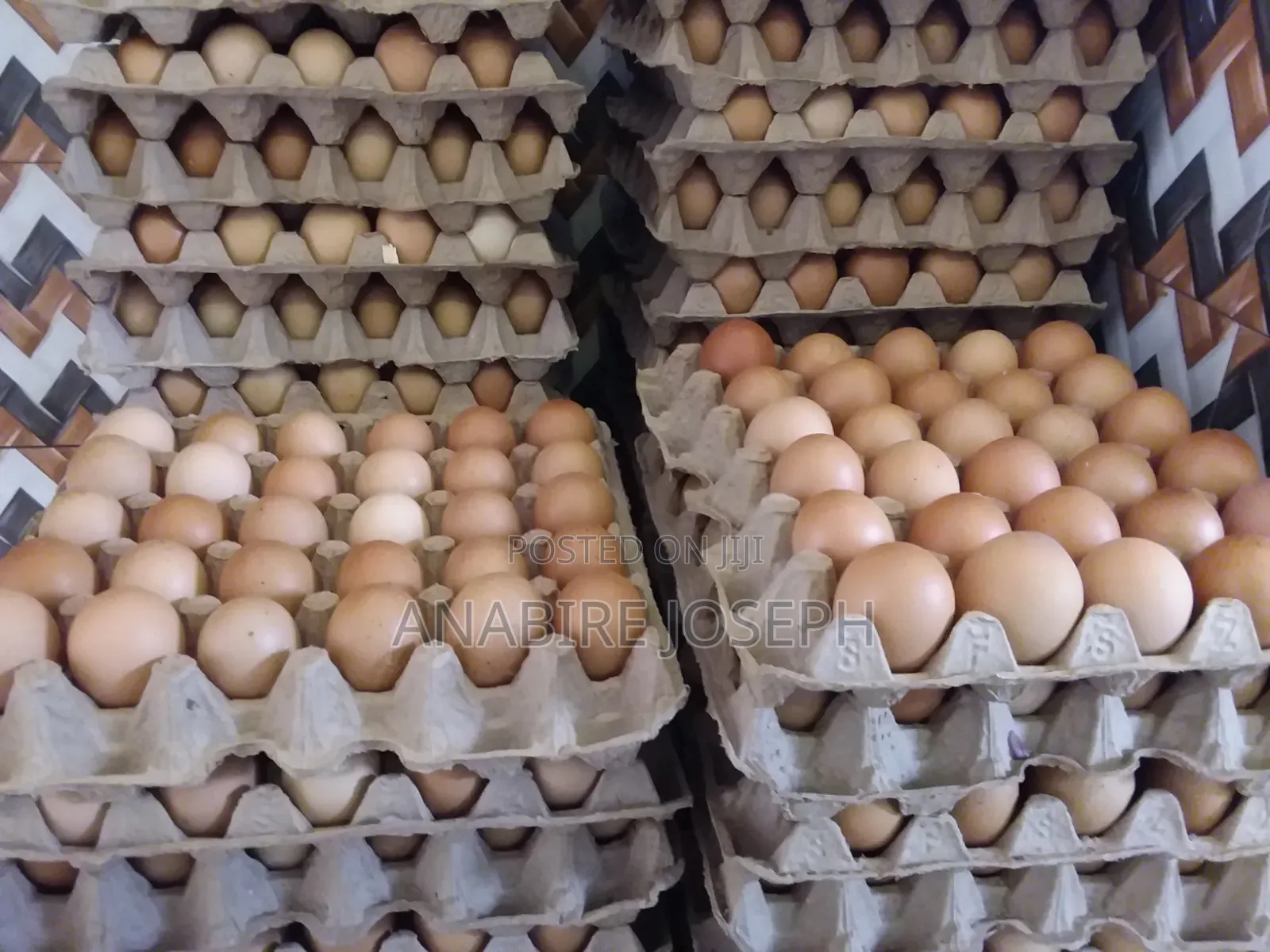 Poultry Eggs