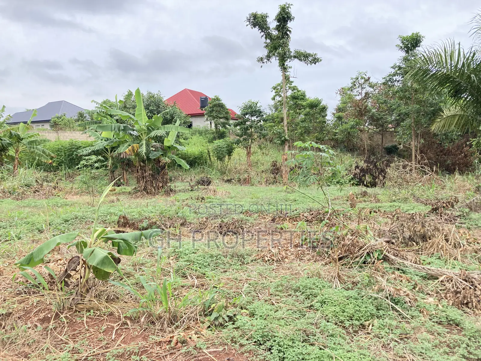 One and Half Plot for Sale at Sokoban,Ampaame Hills
