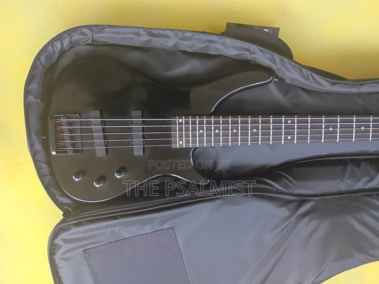 Schecter 5strings Bass Guitar