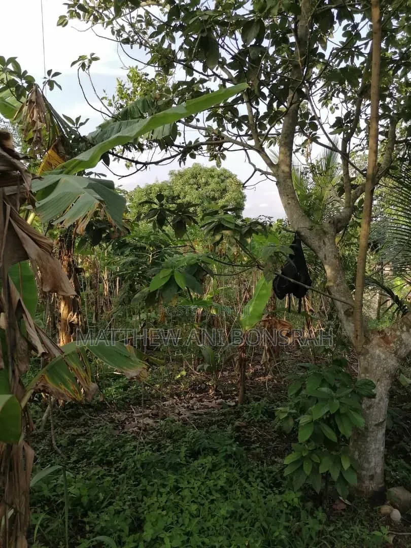 Land for Rent