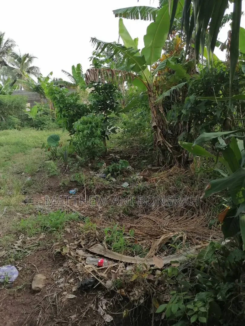 Land for Rent