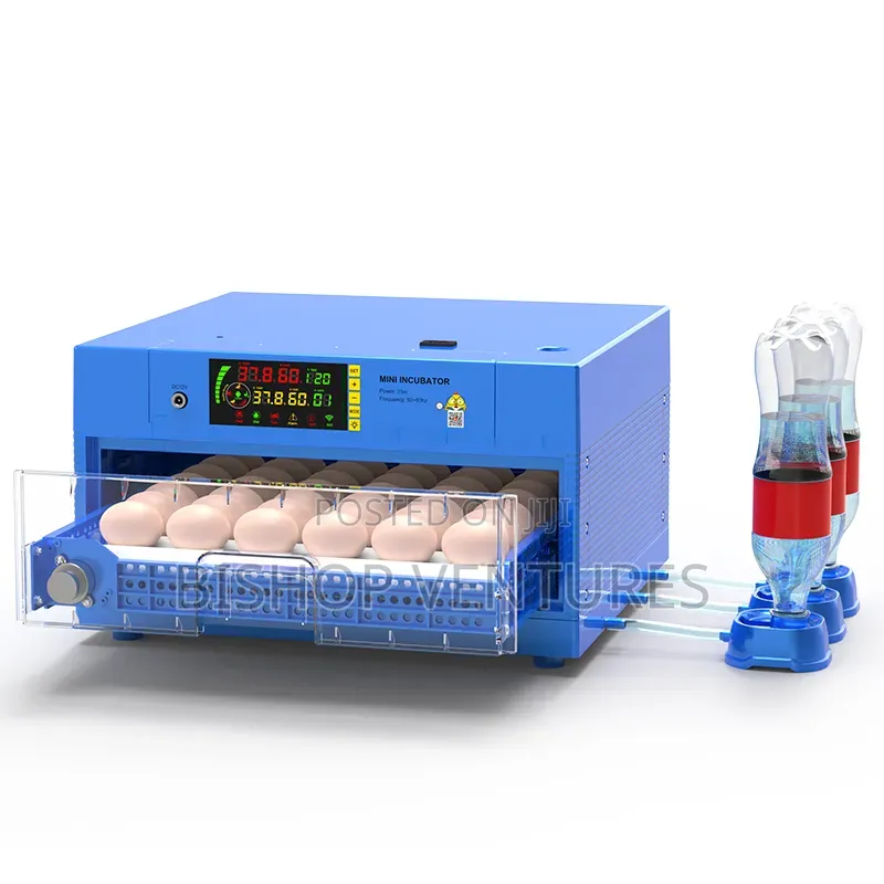 70 Eggs Capacity Incubator