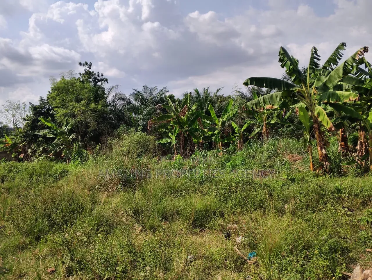 8plot of Land for Sale at West Trassaco
