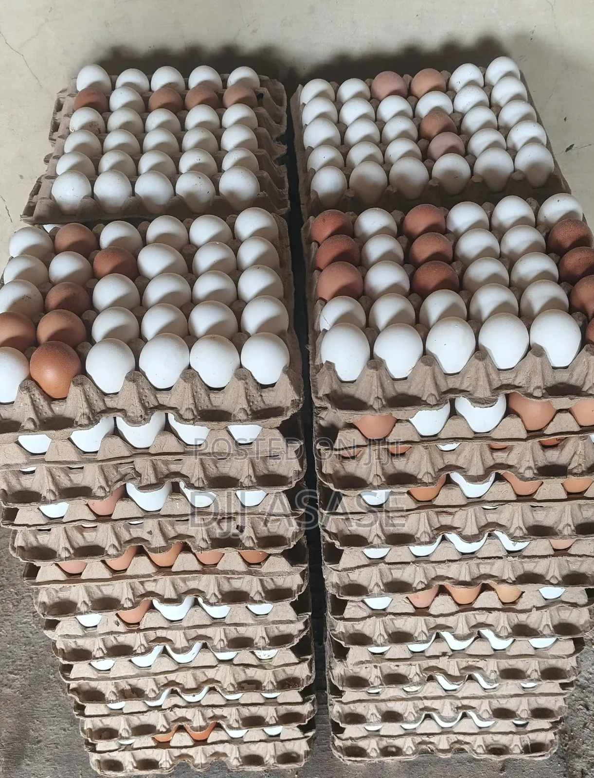 Fresh Eggs Available, Free Delivery, Delivery Before Payment