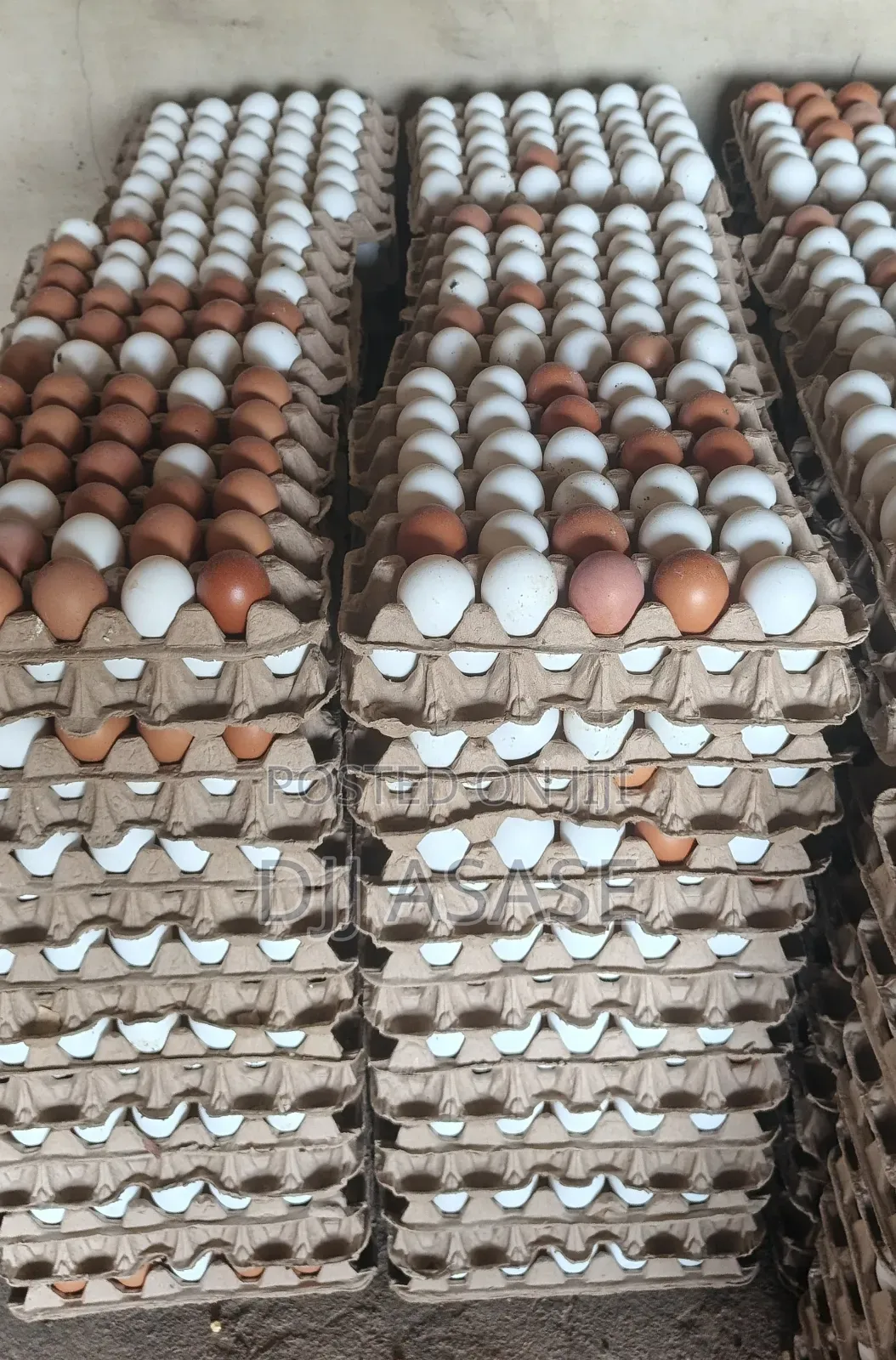 Fresh Eggs Available, Free Delivery, Delivery Before Payment