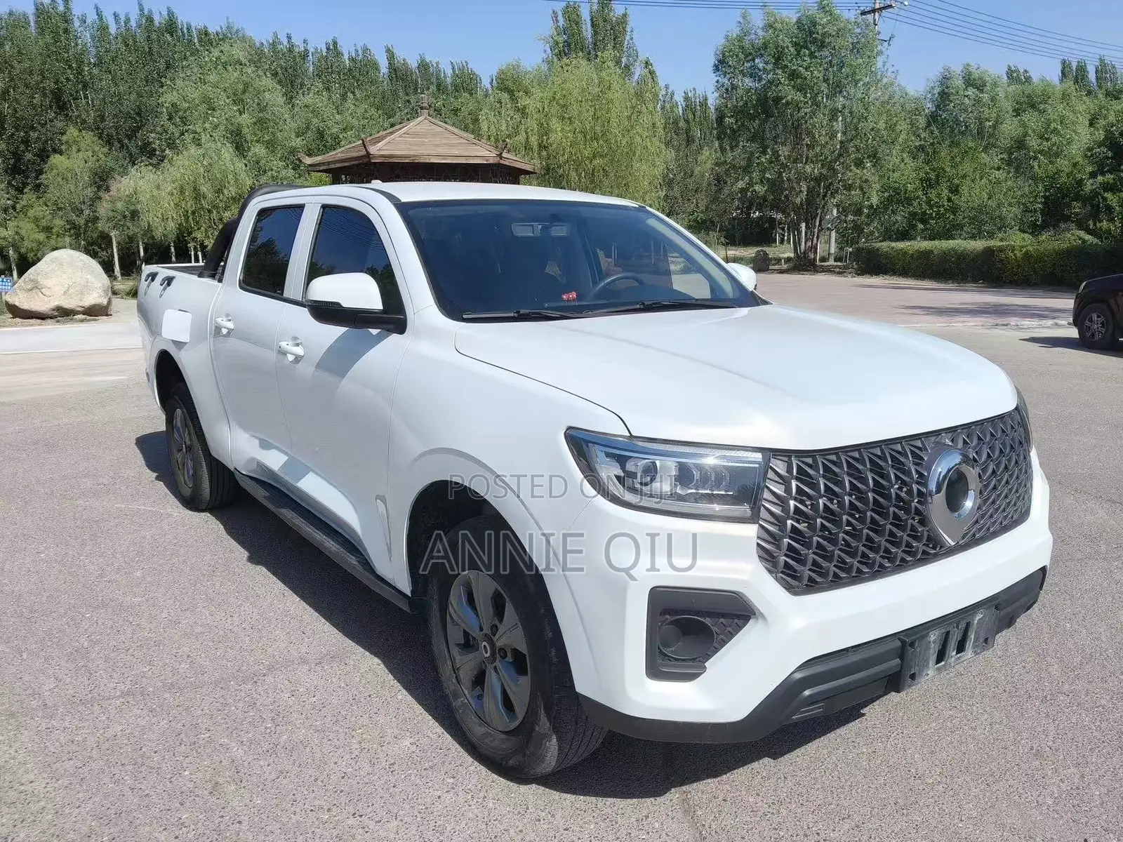 Great Wall Pao 2.0 Diesel RWD 2024 White