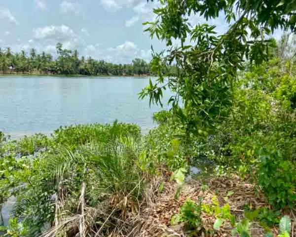 Riverfront Land for Sale – Big Ada (Angornya)