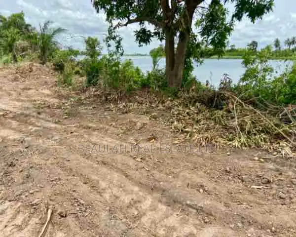 Riverfront Land for Sale – Big Ada (Angornya)