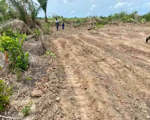 Riverfront Land for Sale – Big Ada (Angornya)
