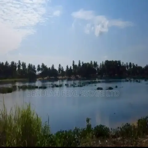 Riverfront Waterfront Land for Sale – Big Ada (Angornya)