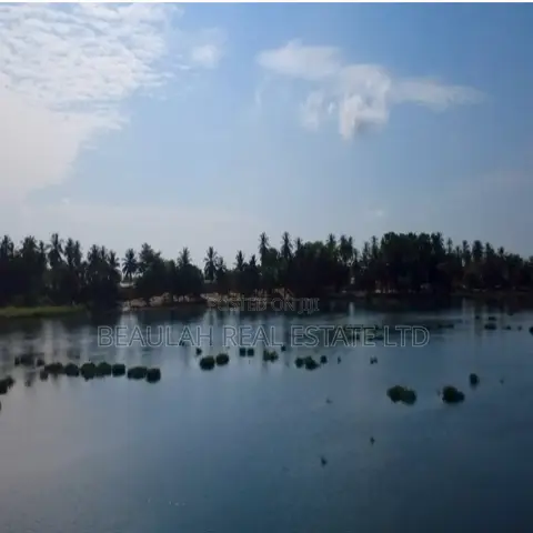 Riverfront Waterfront Land for Sale – Big Ada (Angornya)