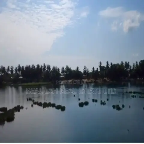 Riverfront Waterfront Land for Sale – Big Ada (Angornya)