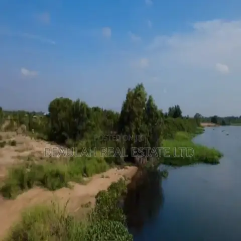 Riverfront Waterfront Land for Sale – Big Ada (Angornya)