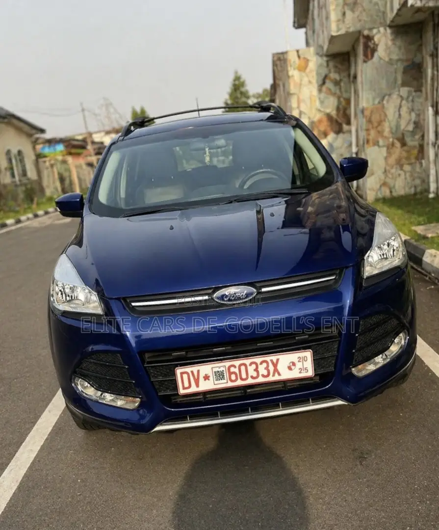 Ford Escape SE FWD 2016 Blue