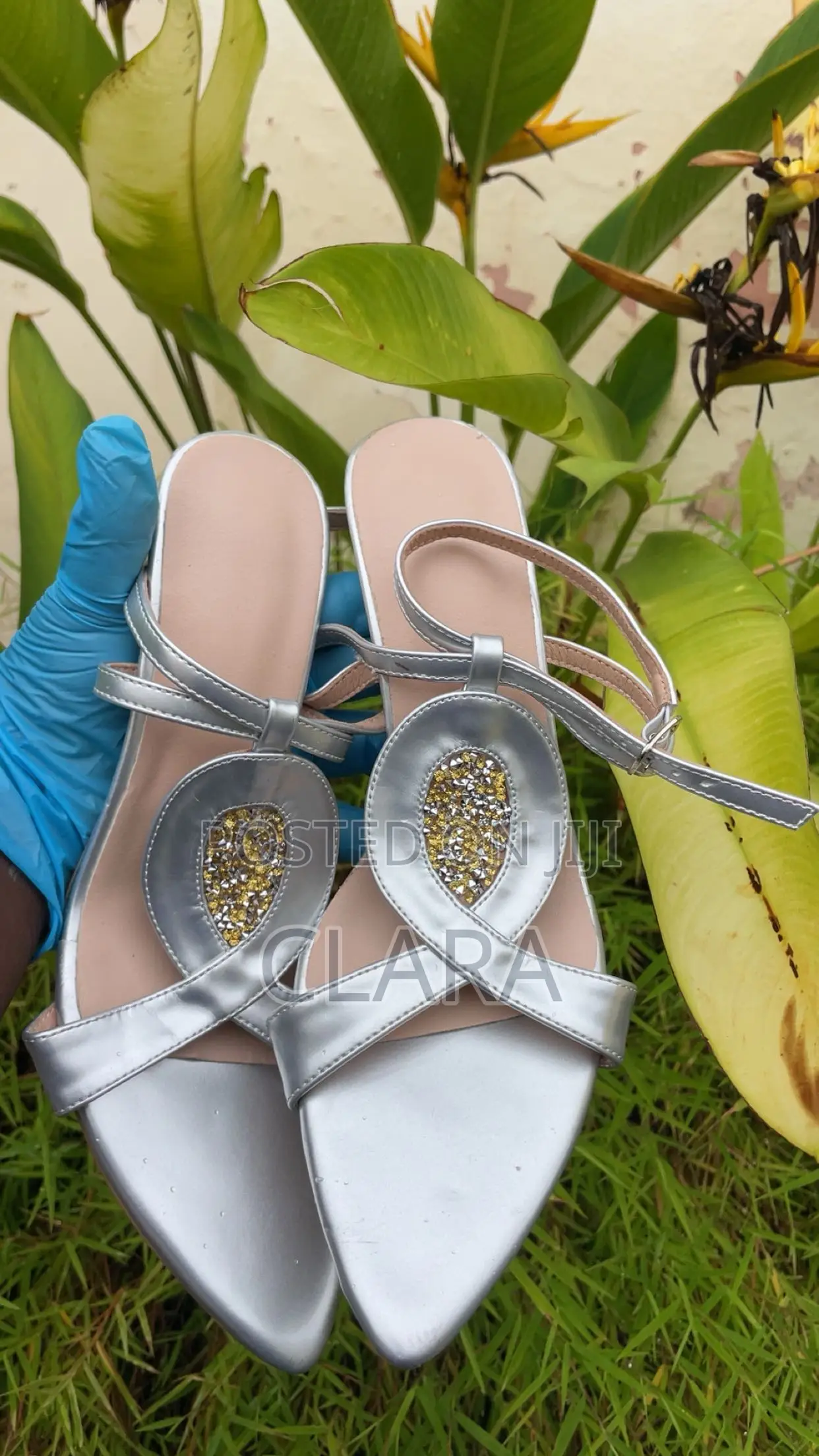 Luxury Shoe