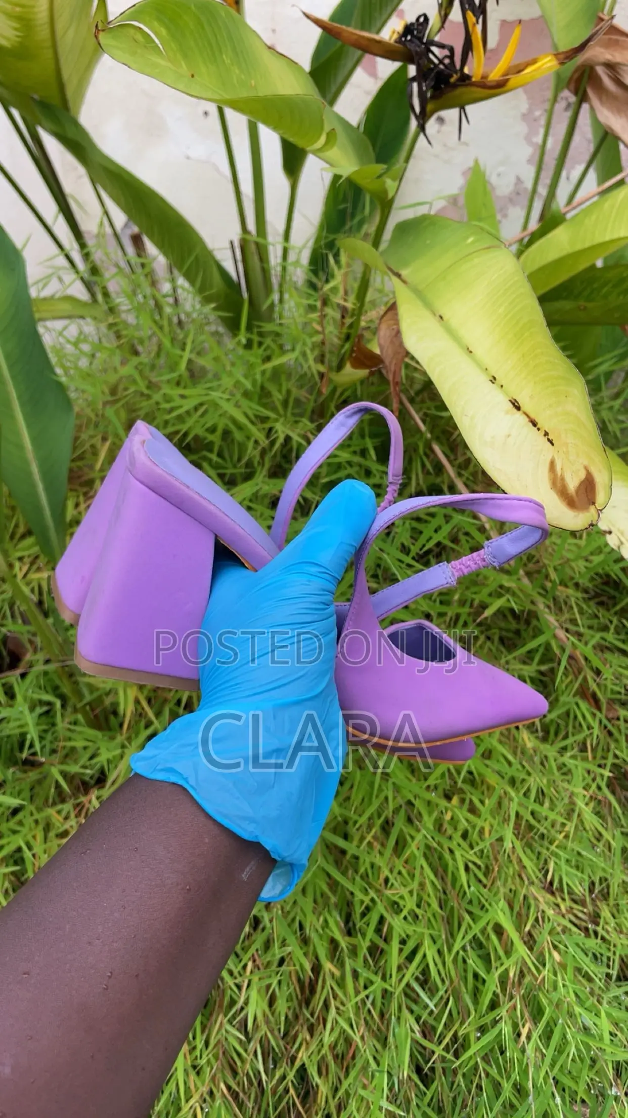 Violet Shoe