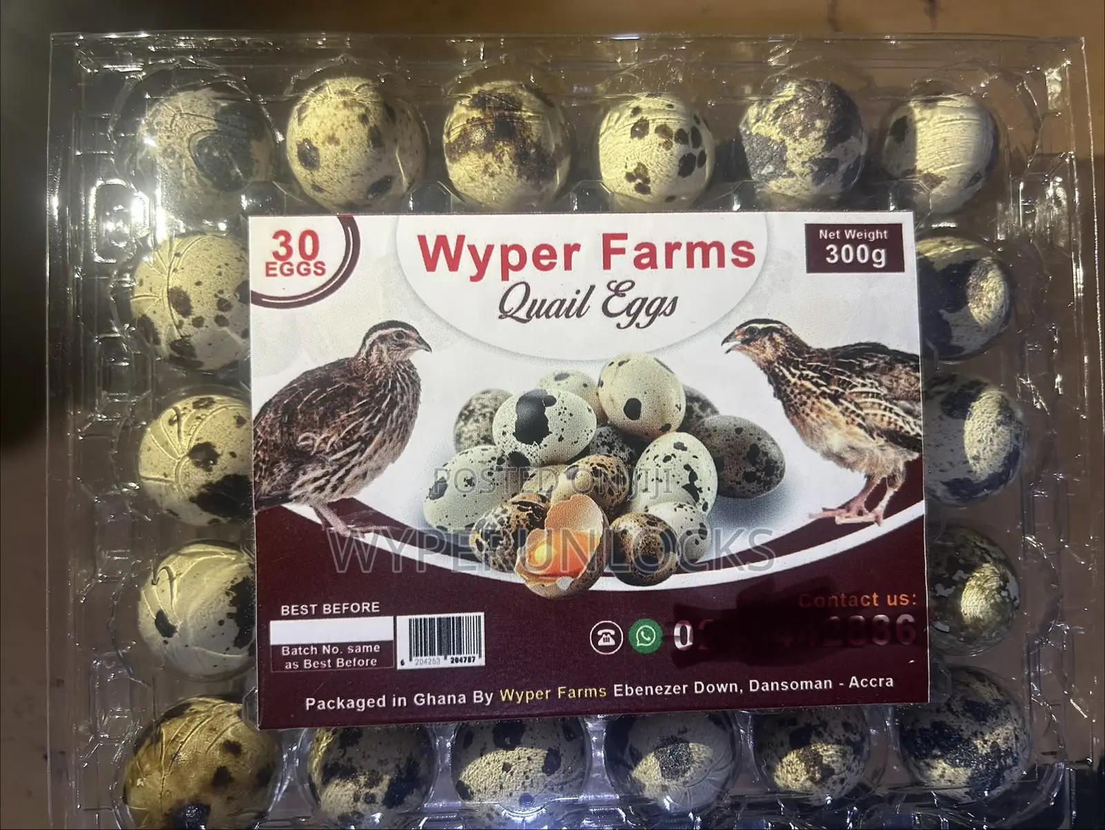 Quail Eggs