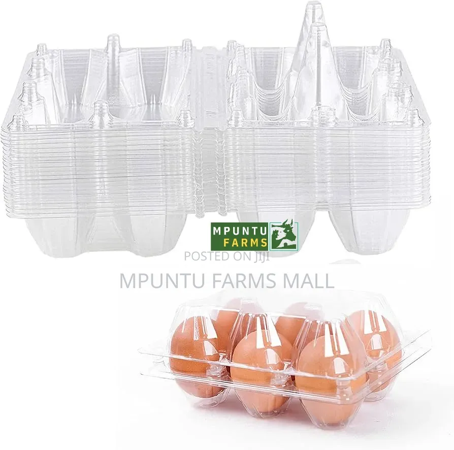 6 Holes Transparent Egg Crates