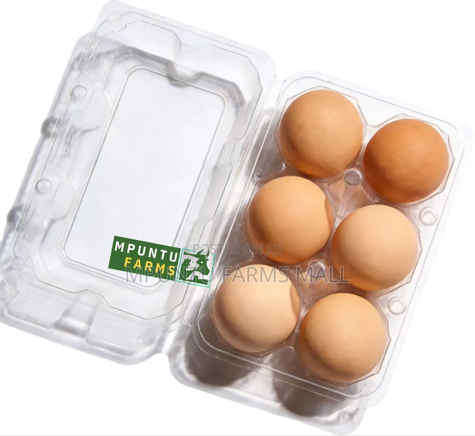 6 Holes Transparent Egg Crates