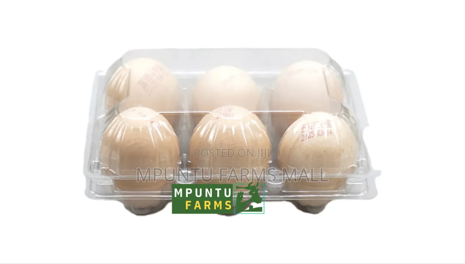 6 Holes Transparent Egg Crates